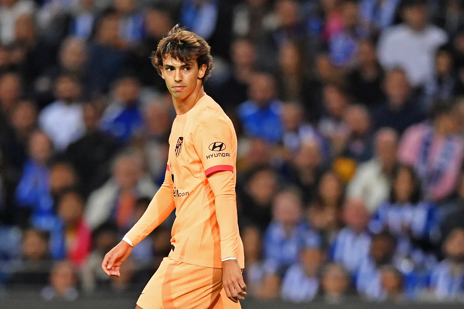 'Arsenal heeft Ødegaard-route in het hoofd voor peperdure Félix'