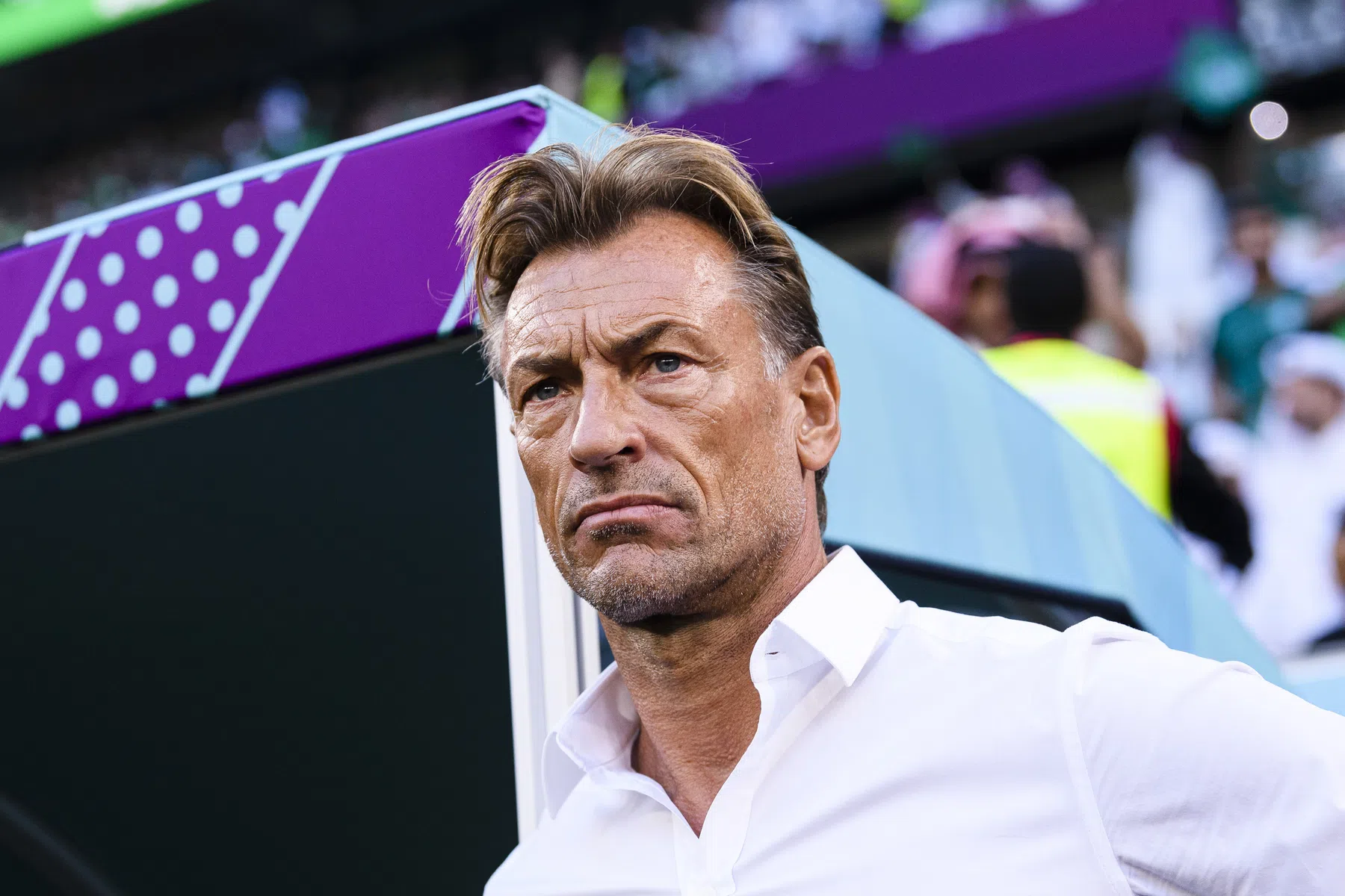 Na donderspeech tijdens WK stapt bondscoach op bij Saoedi-Arabië