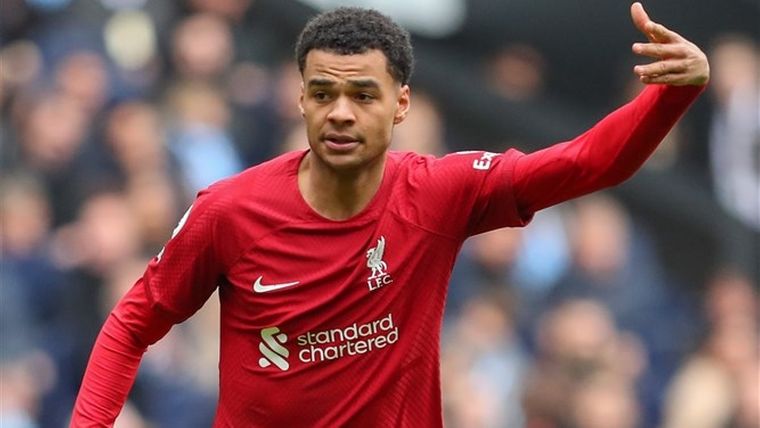 Klopp lyrisch over Gakpo: 'Uitzonderlijk goed en genot om mee te werken'