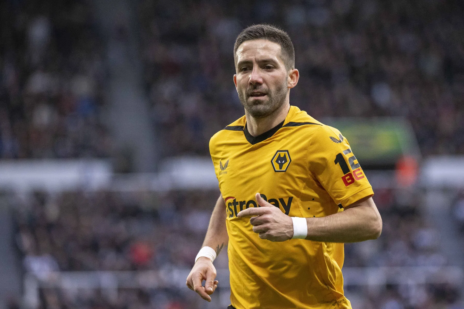 Wolves neemt afscheid van illuster duo en wil door met Traoré