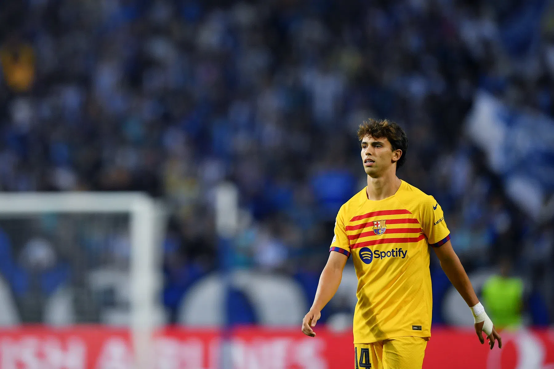 'Barça werkt nu al aan volgend voorstel voor João Félix'