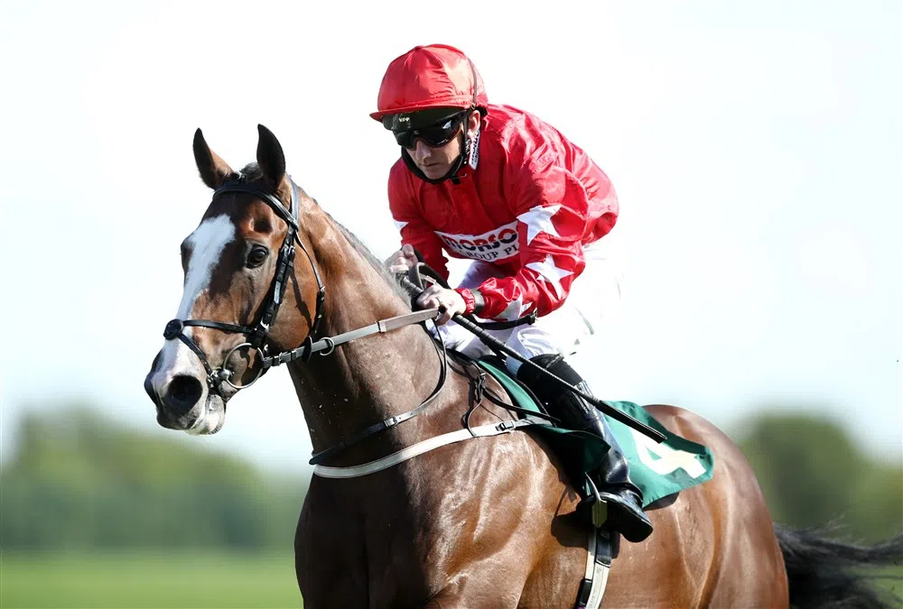 Legendarische manager Ferguson wint ruim een miljoen dankzij een paard