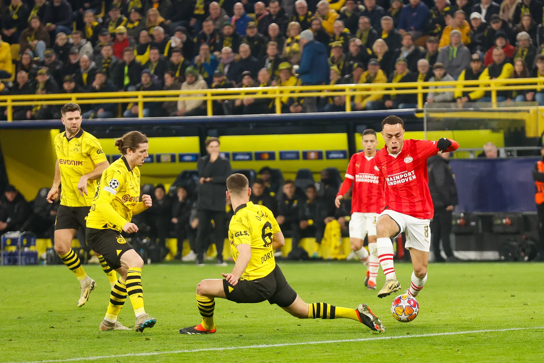 Coëfficiëntenconclusie na bijltjesweek: Nederland deed het goed genoeg