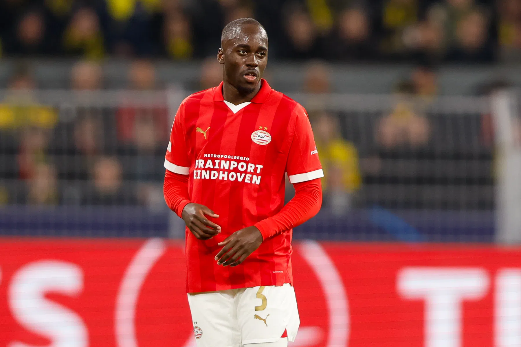 Bosz overtuigd: 'Jordan is Nederlands elftal-waardig'