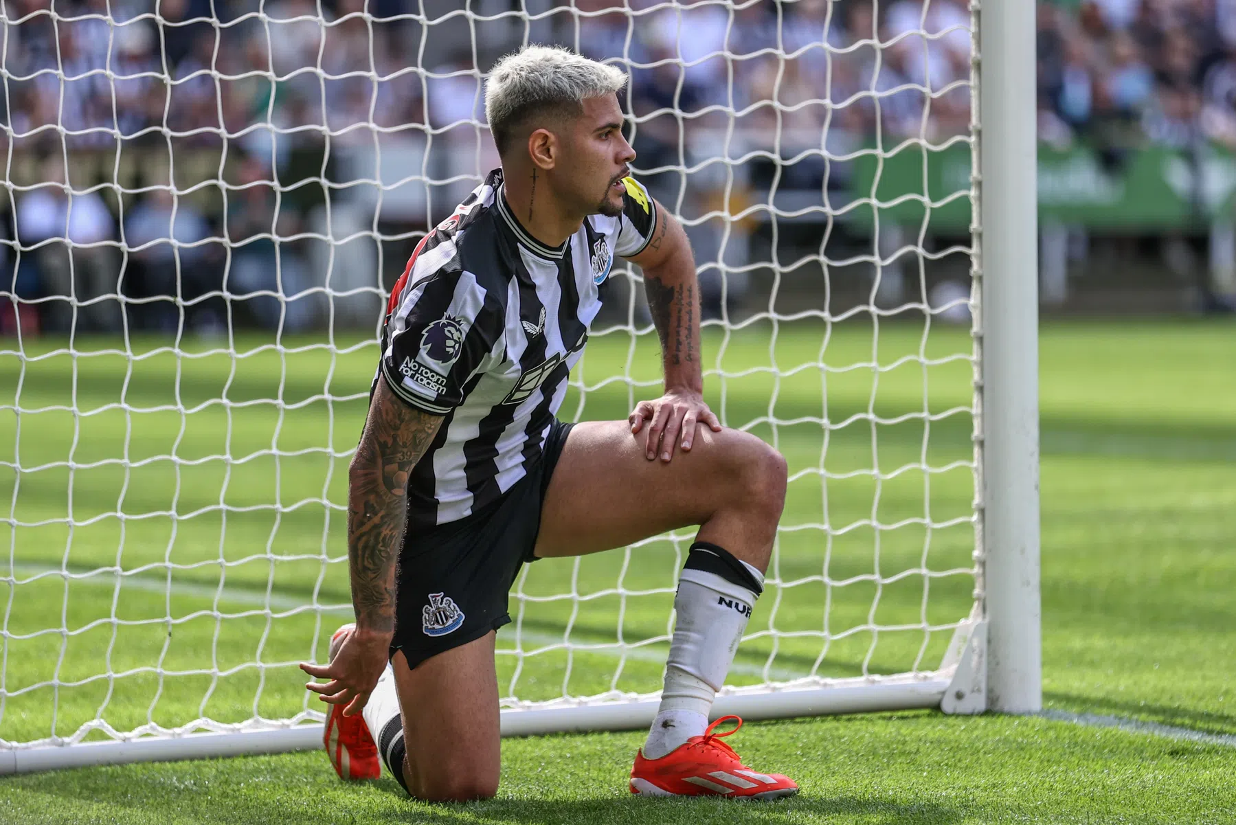 Newcastle morst punten in strijd om Europees voetbal, hoofdrol Veltman