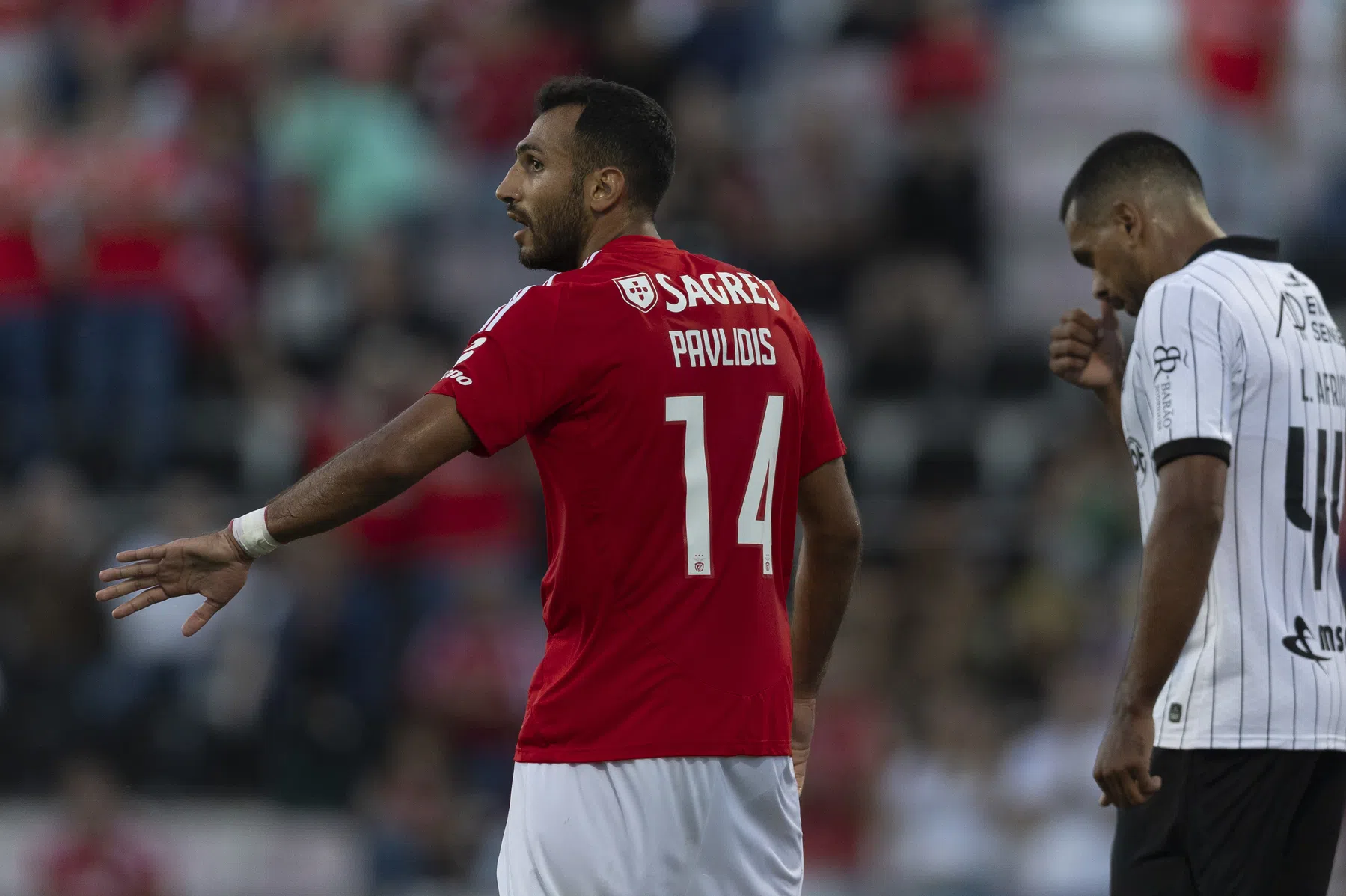 Portugese media onder de indruk van Pavlidis: 'Een speler die alles geeft'