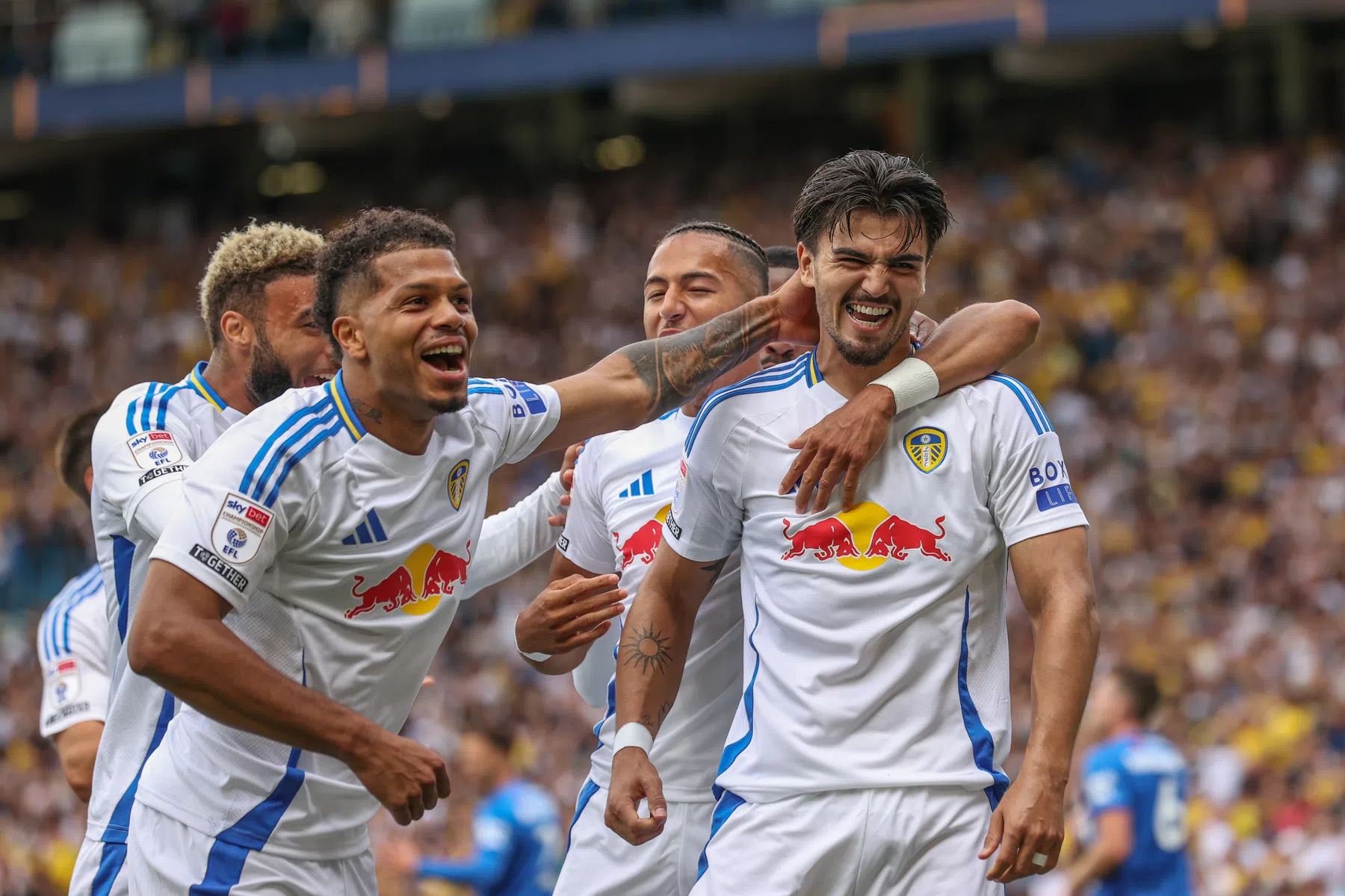 Scorende Struijk wint niet, promovendi verrassen in Championship