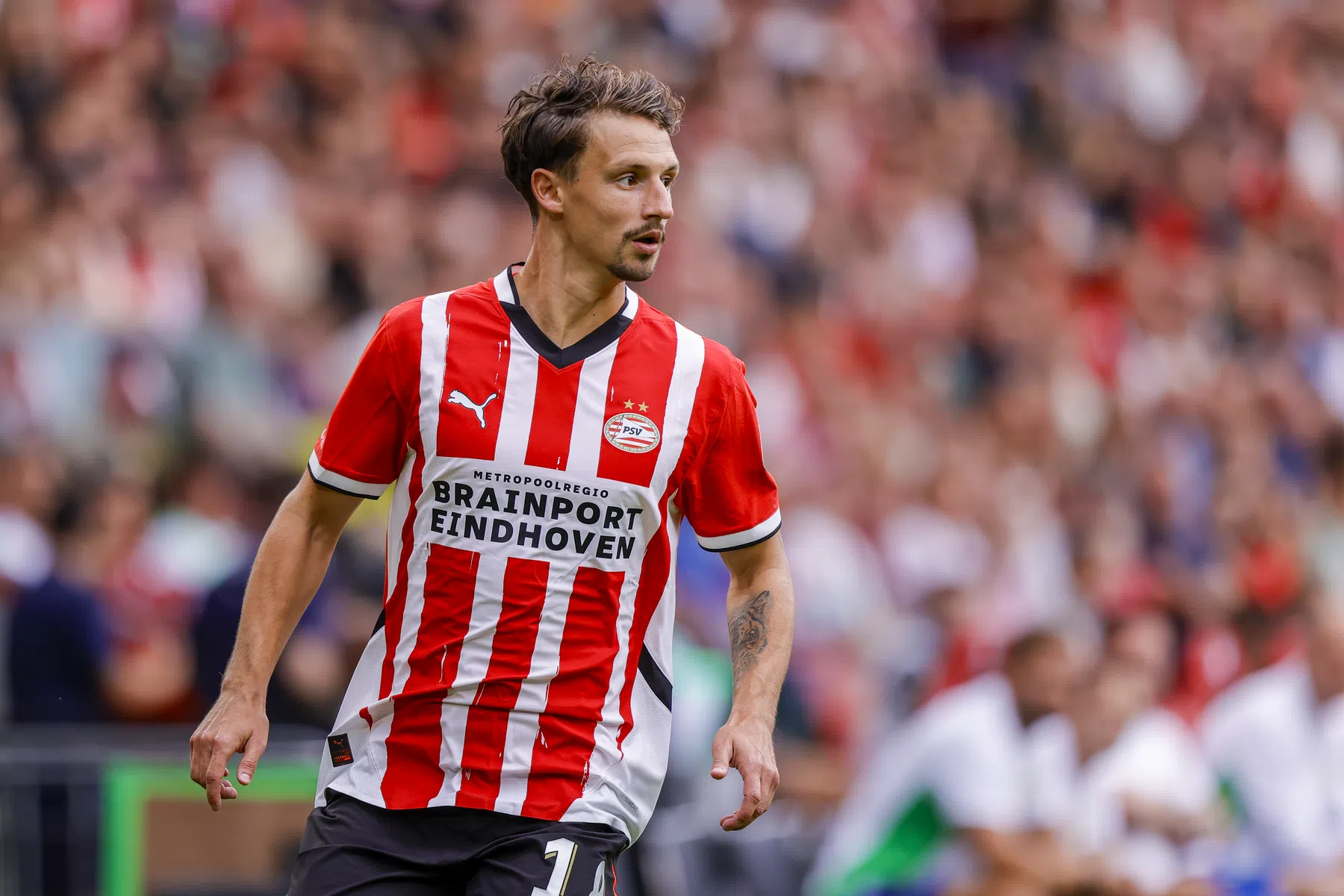 Boscagli zet zinnen op transfer naar Brighton & Hove Albion