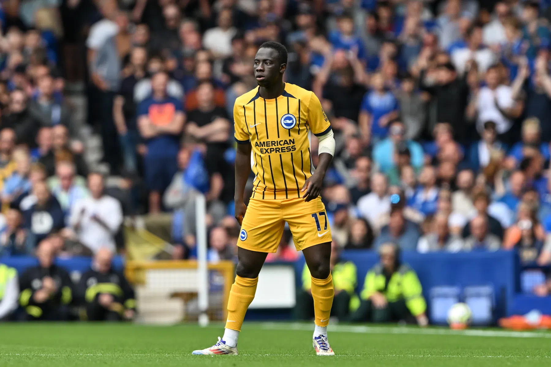 Waarom Brighton gaat verrassen in de Premier League