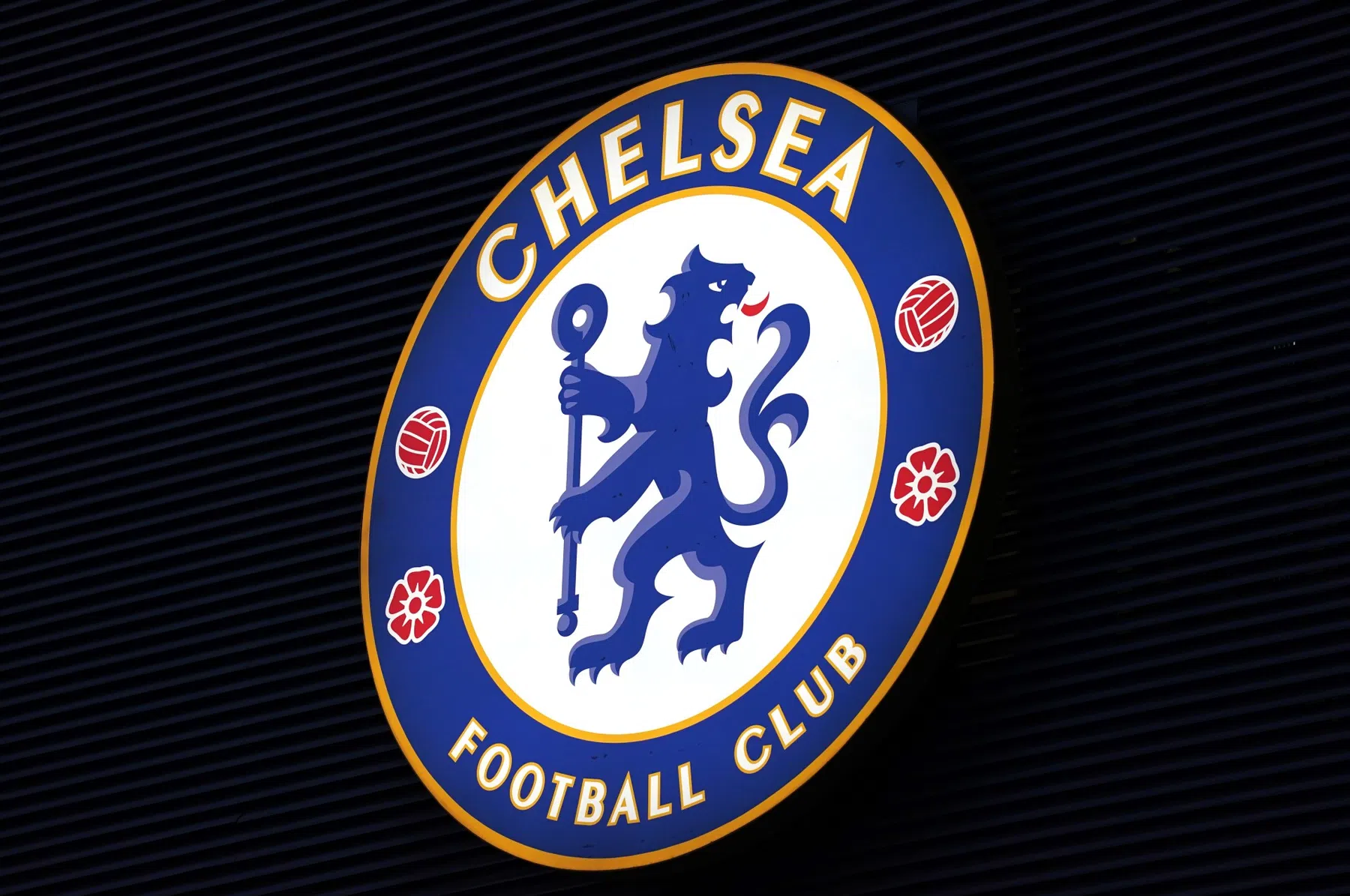Chelsea haalt met Belgische belofte alvast een zevende keeper