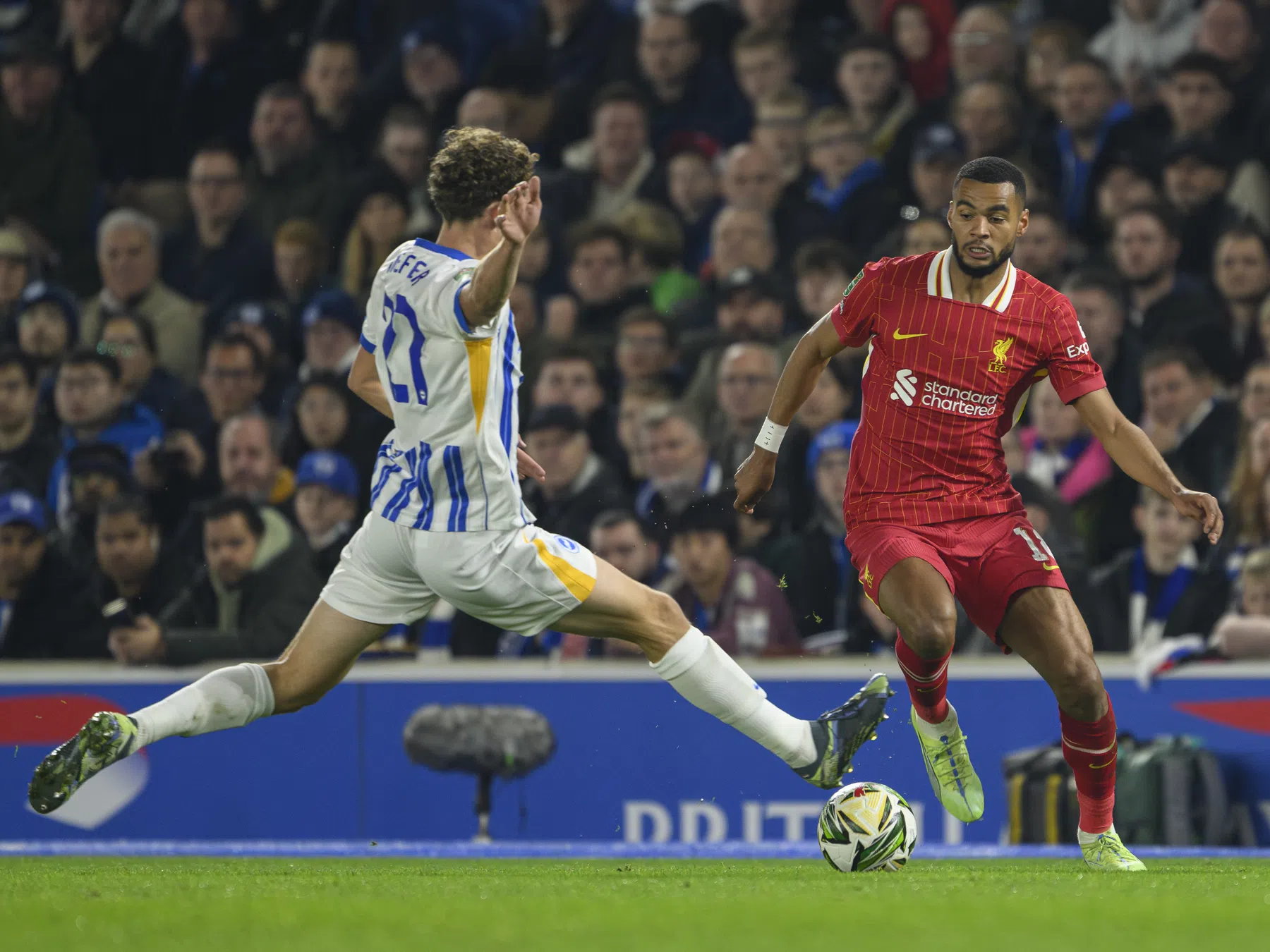 Brighton-manager onder de indruk van Wieffer en 'ongelofelijke' Gakpo