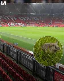 Thumbnail for article: 'Nog meer problemen op Old Trafford: na lekkage nu ook ongedierte'