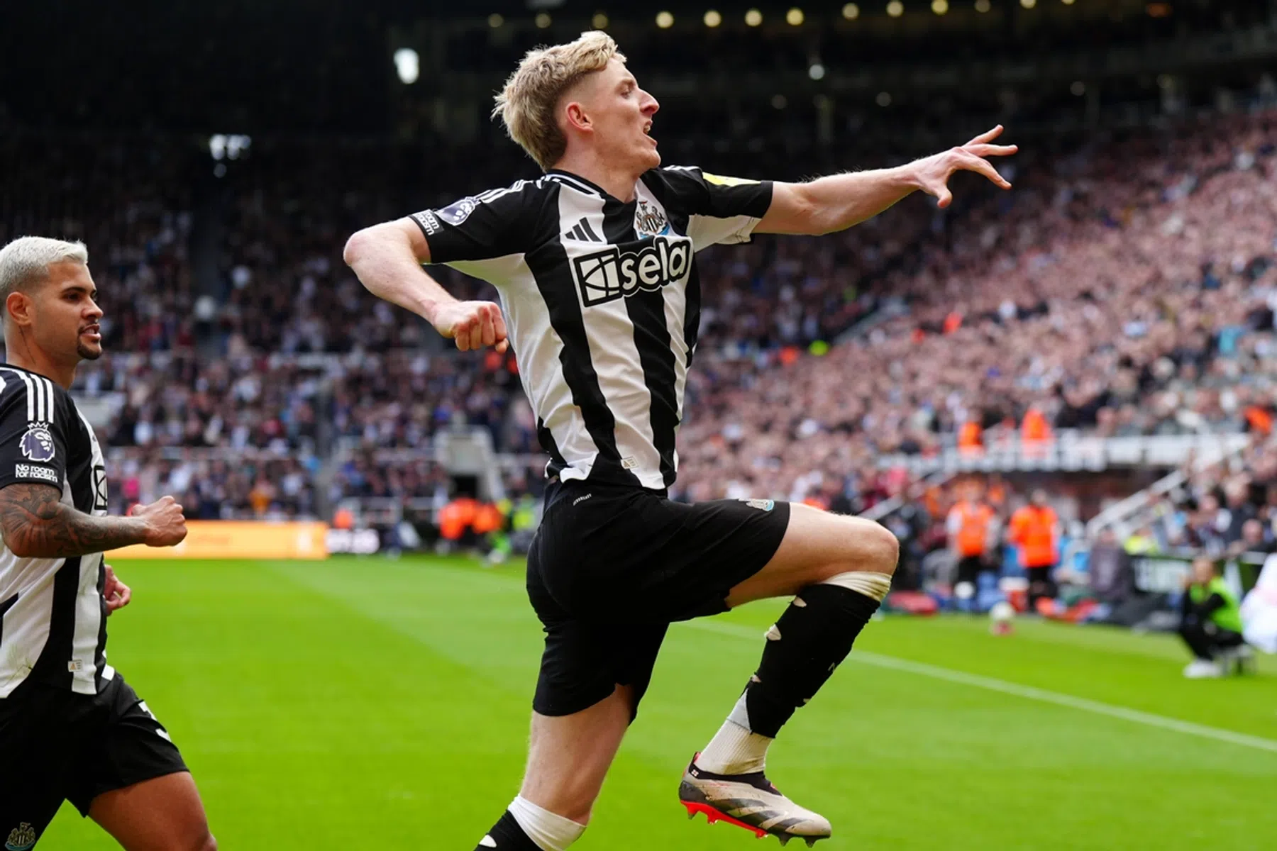 Newcastle bruist als vanouds: ervaar het zelf op St. James' Park!