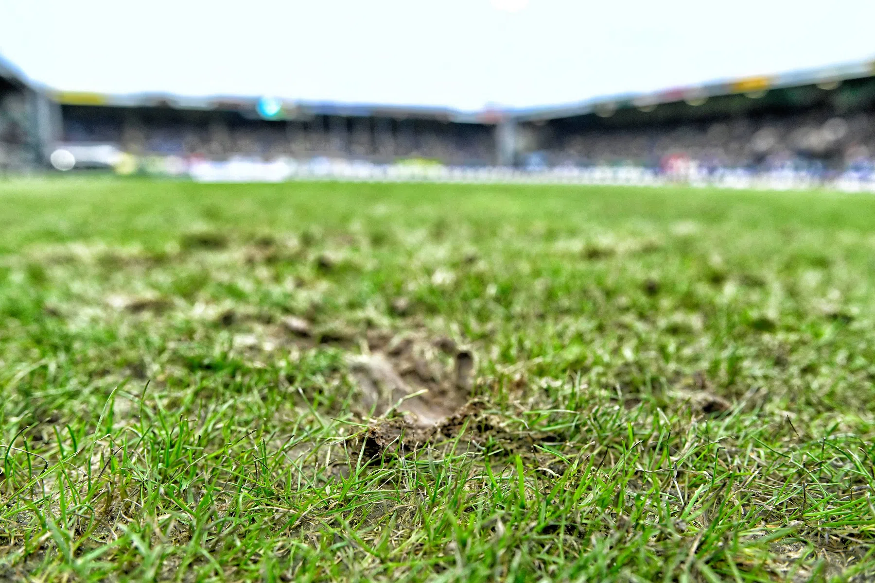 Fortuna excuseert zich en schakelt veldexpert Feyenoord in