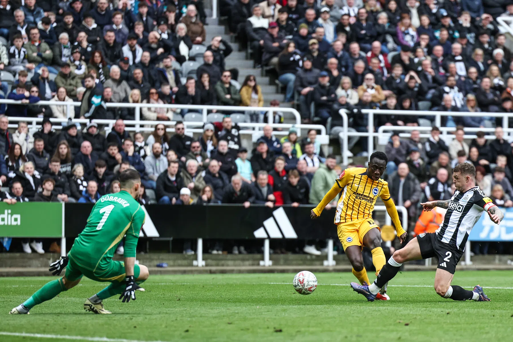Brighton schakelt Newcastle uit met Minteh en Van Hecke als hoofdrolspelers