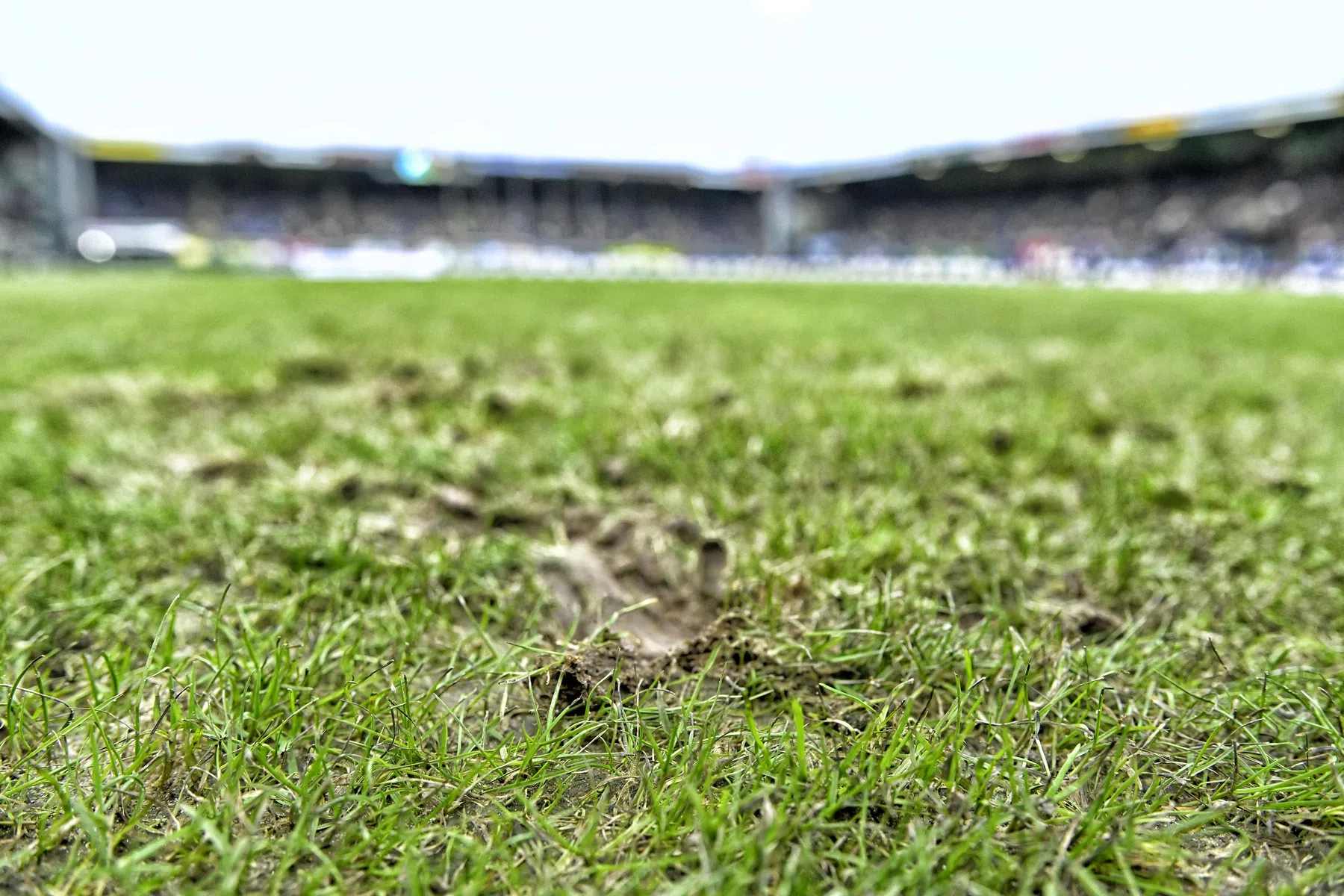 Grasmat in Sittard is een mysterie voor Heracles