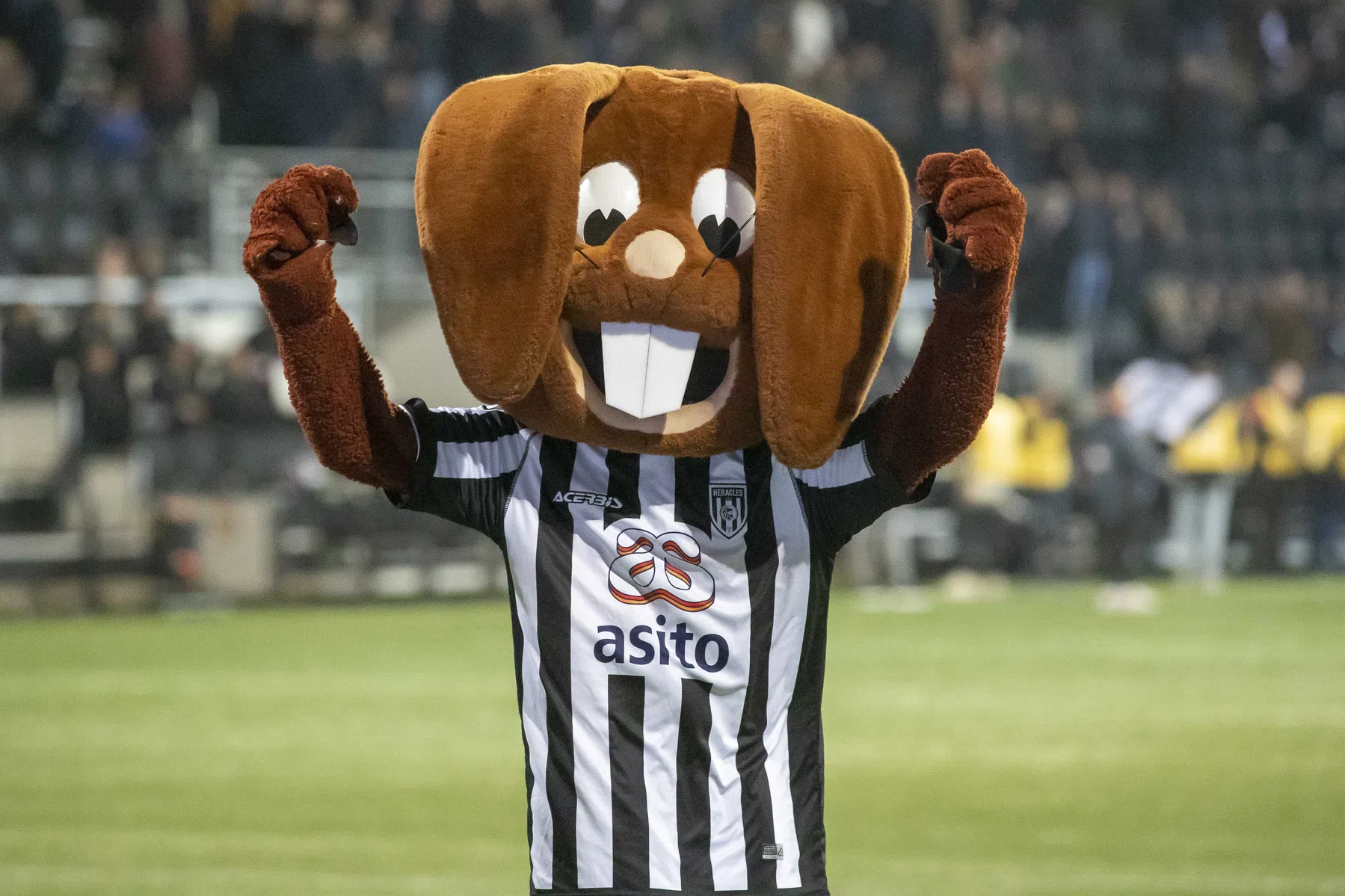 KNVB komt met voetbalkaart: hier wonen de supporters van jouw club 