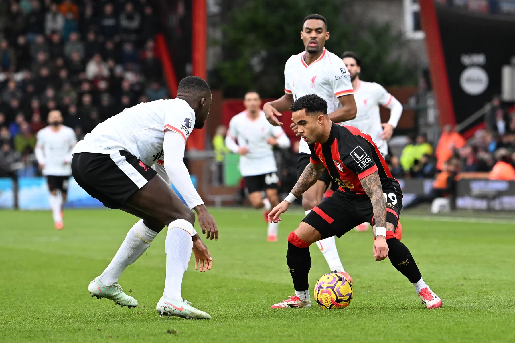 Gravenberch en Kluivert uitgeroepen tot dé verrassingen van de Premier League