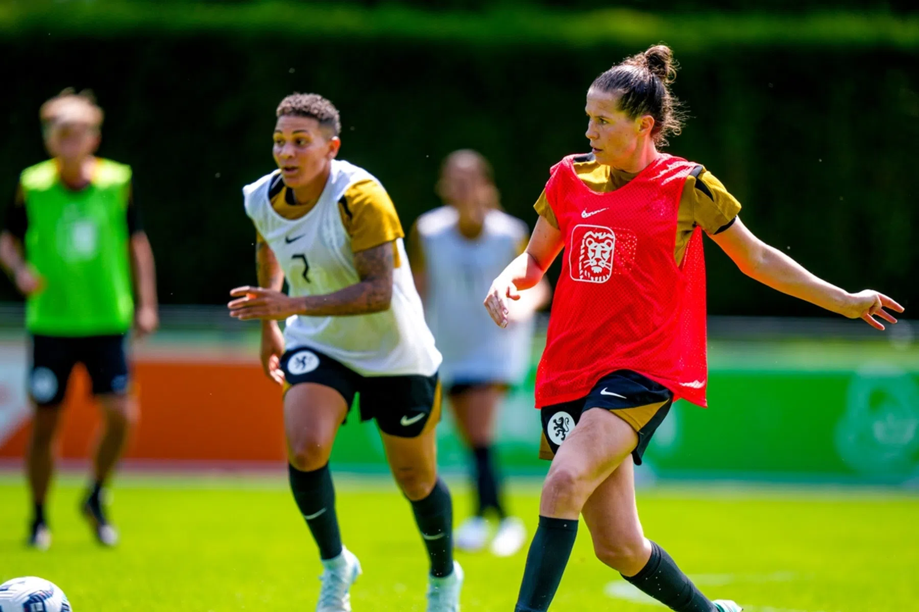 Gepasseerde Van Dongen verlaat Oranje-kamp: 'Ervoor gekozen niet te blijven'