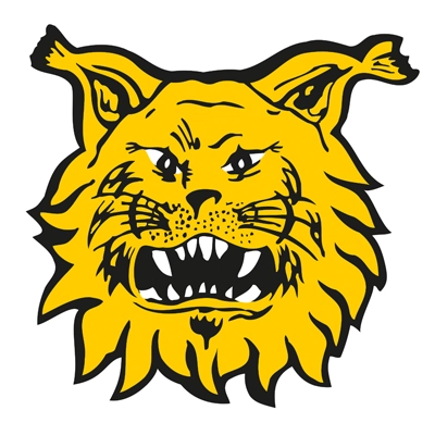 Ontmoet AZ-opponent FC Ilves: een beetje griezelig, een beetje Athletic
