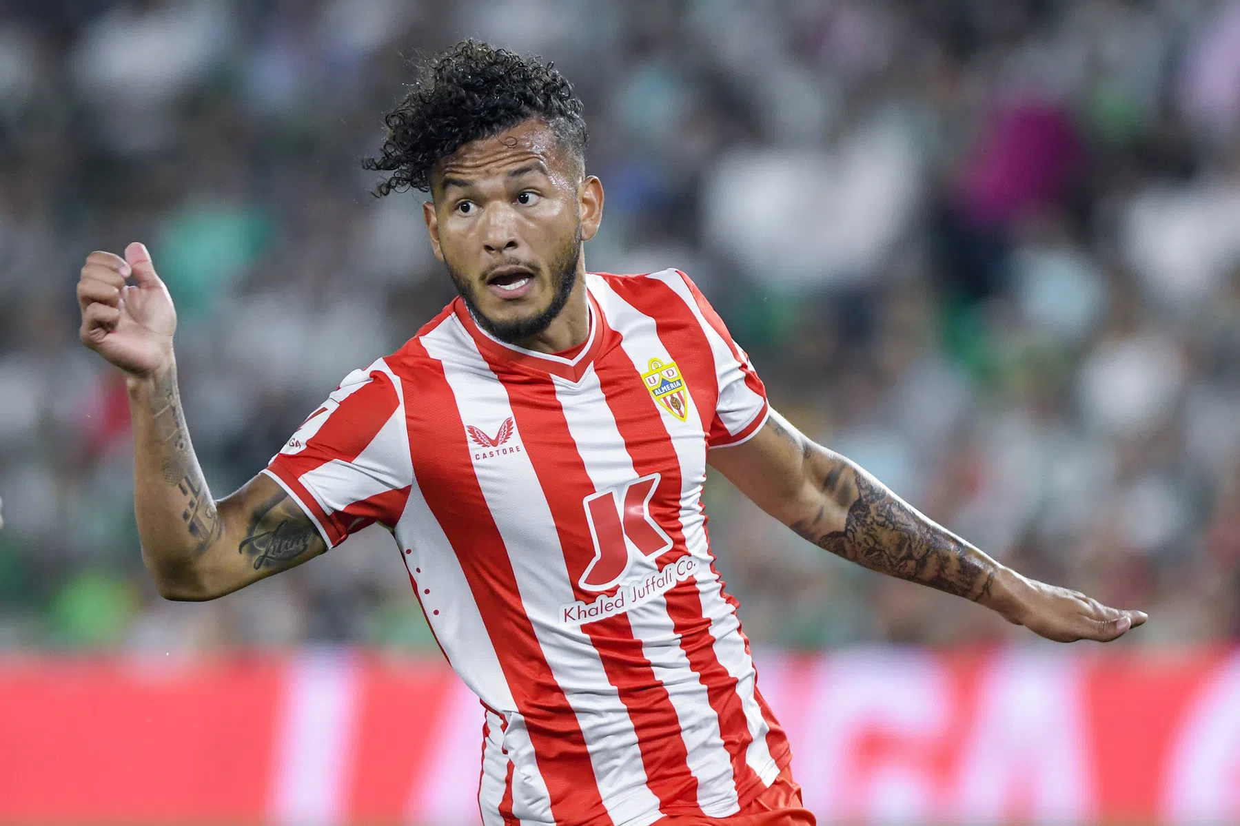 Sporting geeft behoorlijk deel van de Gyökeres-miljoenen uit voor zijn opvolger