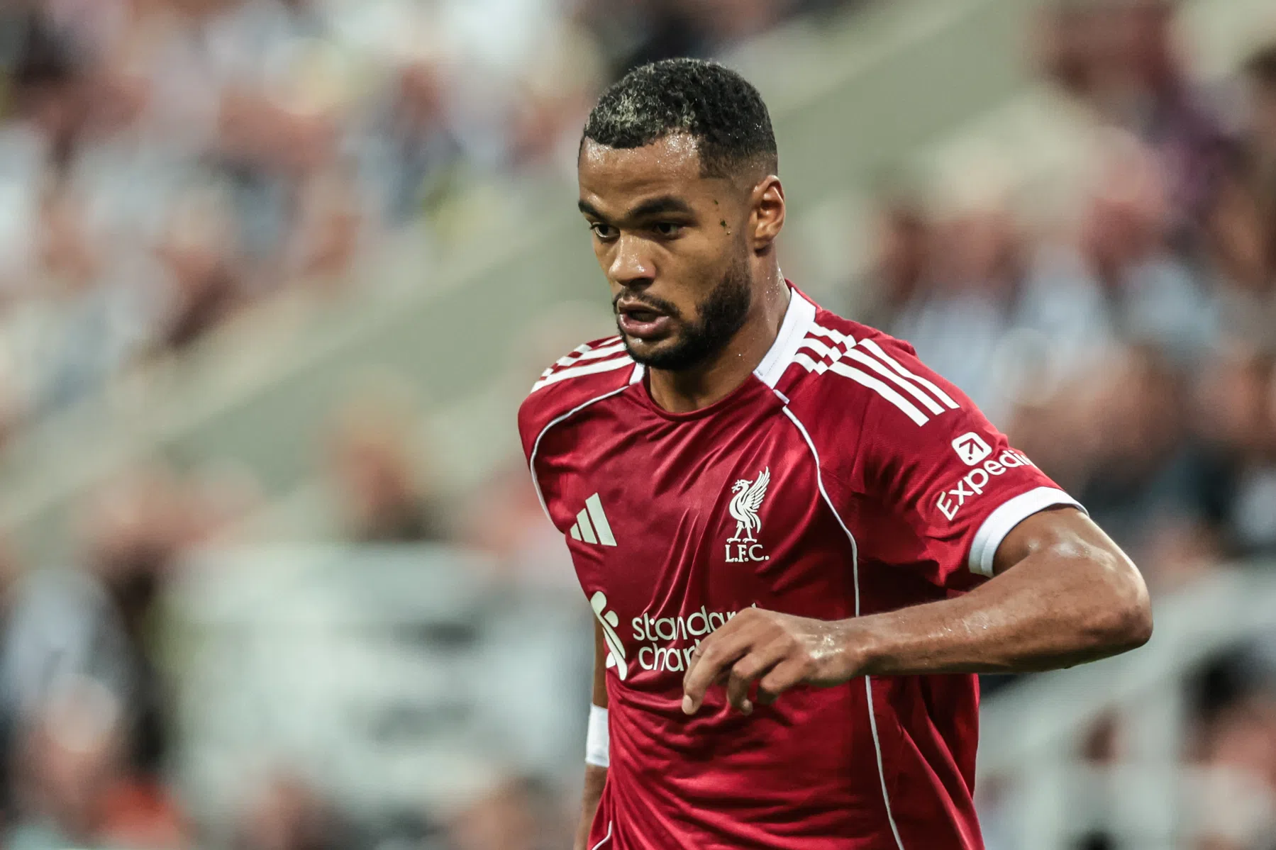 Gakpo blijft Liverpool trouw en verlengt contract op Anfield