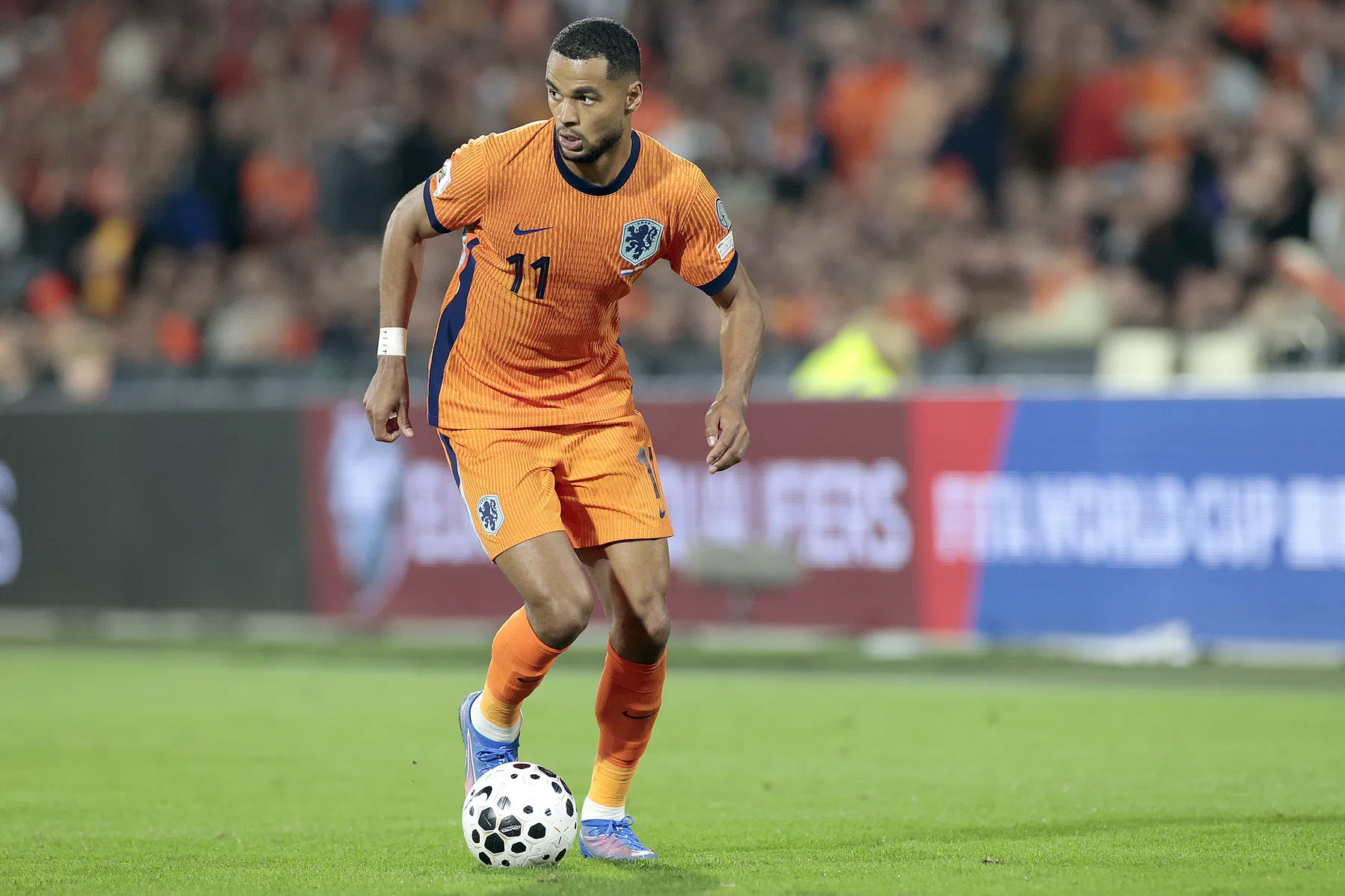Van Hooijdonk ziet in Cody Gakpo nieuwe aanvoerder Oranje