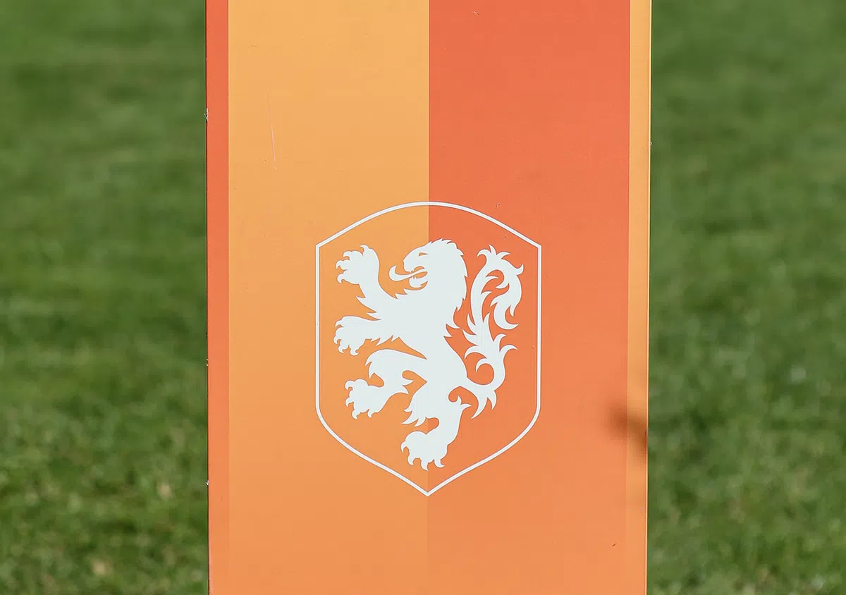 www.vi.nl