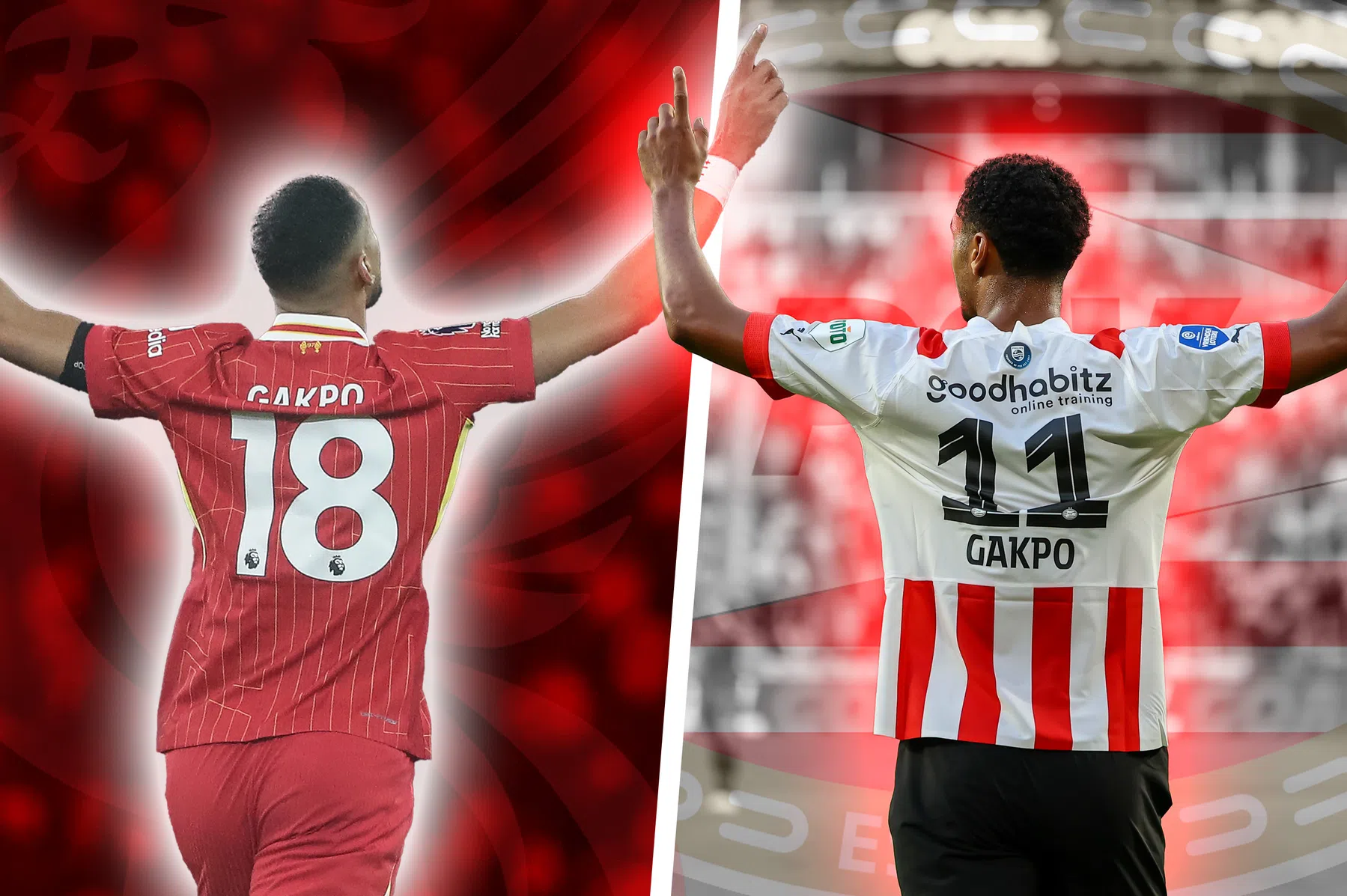 Het verhaal van Cody Gakpo is precies hoe ze het bij PSV graag zien