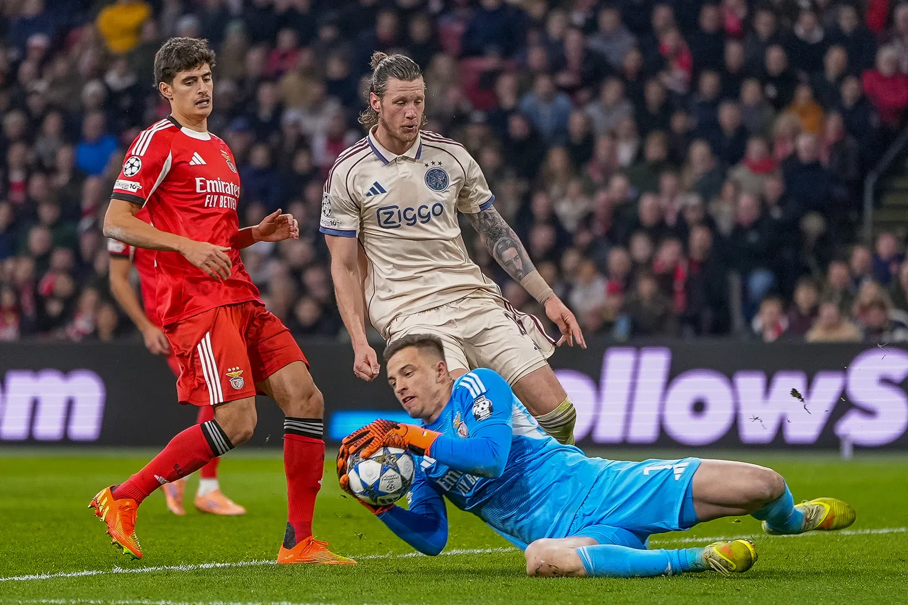 Opluchting bij Benfica-doelman Trubin: 'Als we niet winnen, worden onze fans gek'