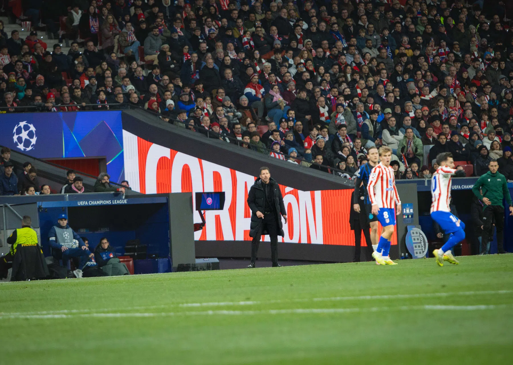 Bosz kijkt naar 'tegenpool' Simeone: 'Heeft iets bijzonders'