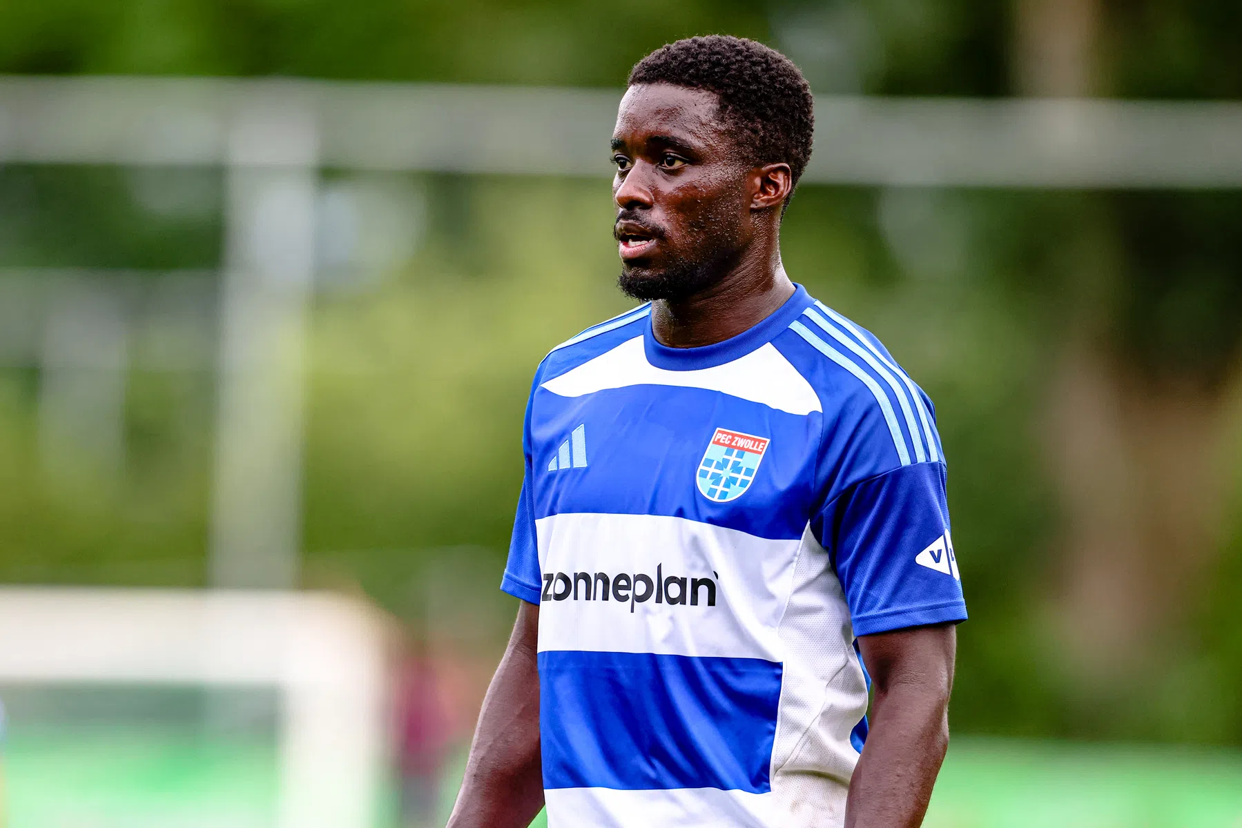 PEC Zwolle neemt per direct afscheid van overbodige aanvaller