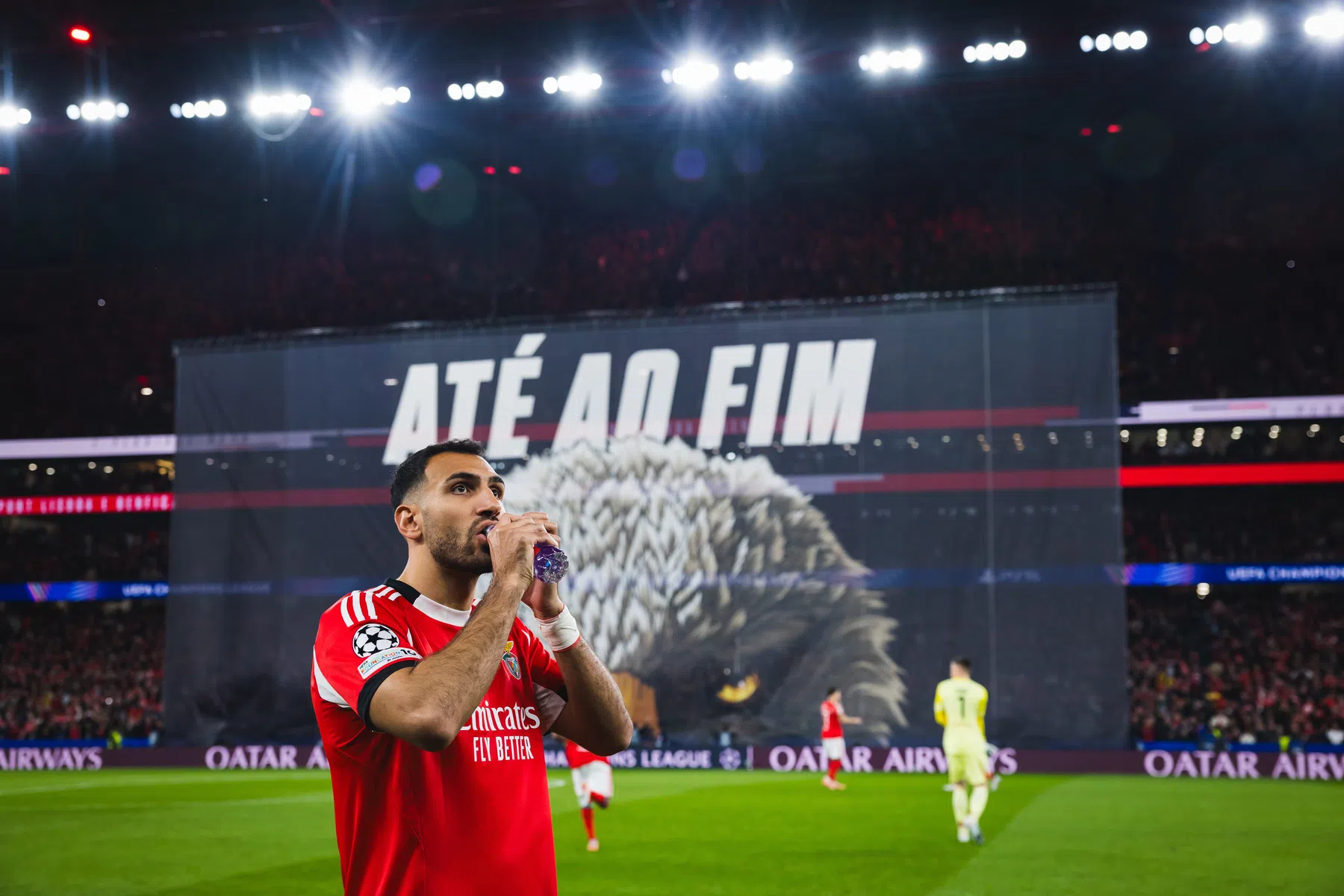 Schaafwonden én een boze moeder stuurden Pavlidis op zijn doelpuntenreis