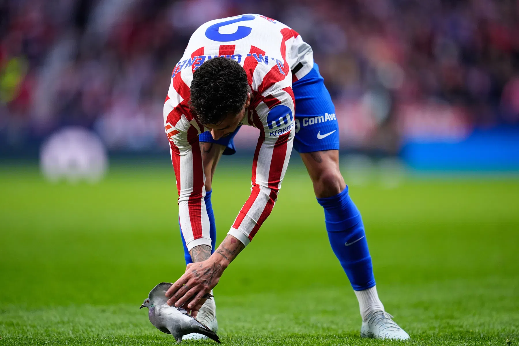 Opvallende veldbetreder van het veld gehaald bij Atlético Madrid