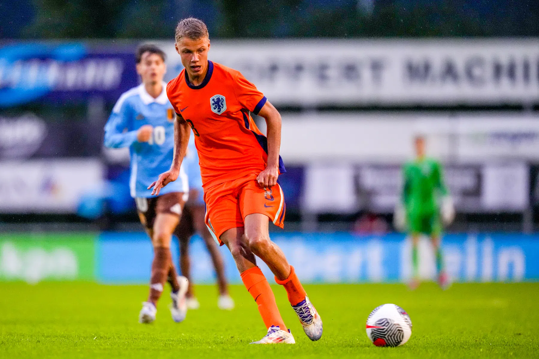 Reiziger prijst specifieke kwaliteit van Steur