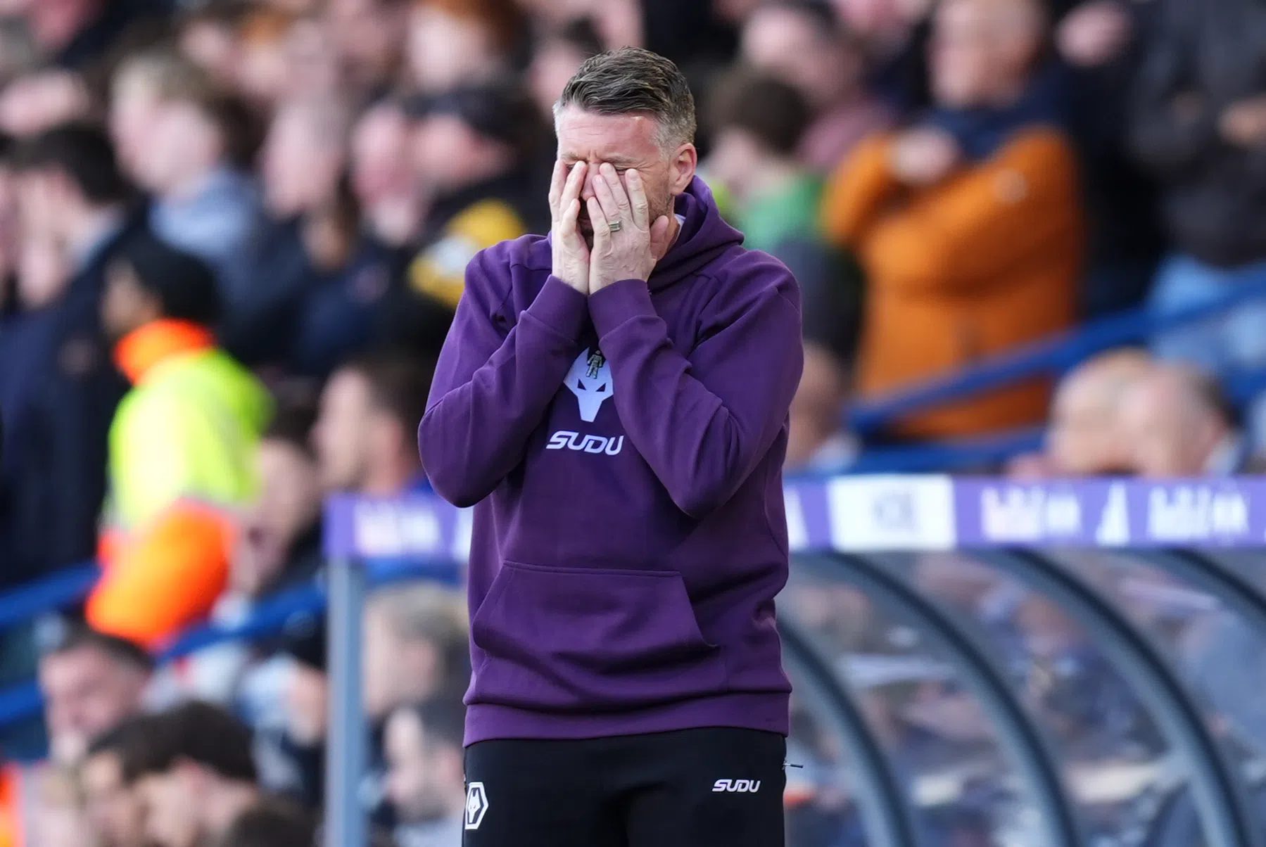 Degradatie een feit voor Wolverhampton Wanderers