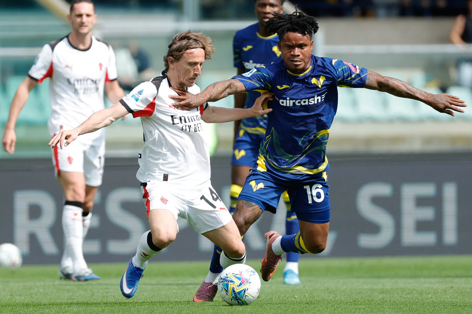 Hellas Verona-spits raakt na nederlaag tegen Milan slaags met supporter