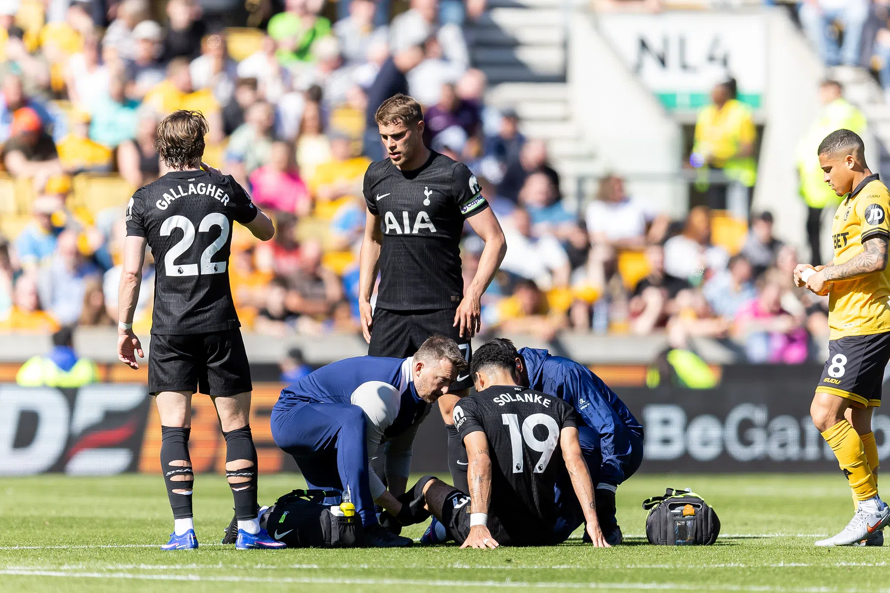 'Nieuwe klap voor Spurs: ook seizoen Solanke voorbij'