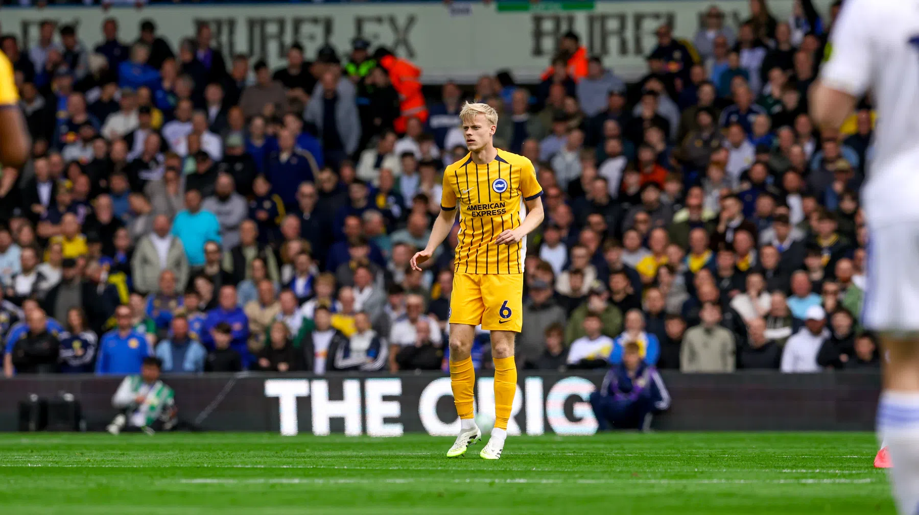 Brighton-trainer springt in de bres voor Van Hecke na dure fout