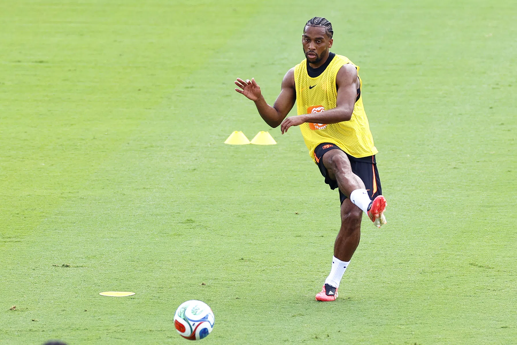 Dutch players have light training after victory, Timber trains separately