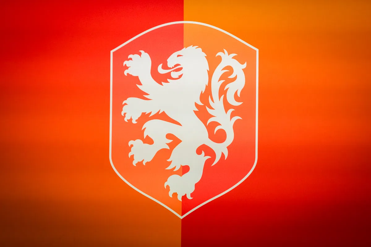 www.vi.nl
