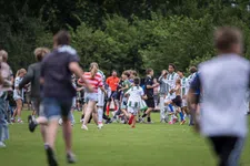 Thumbnail for article: Pezen in Peize: Tygo-mania op een Drentse Landdag