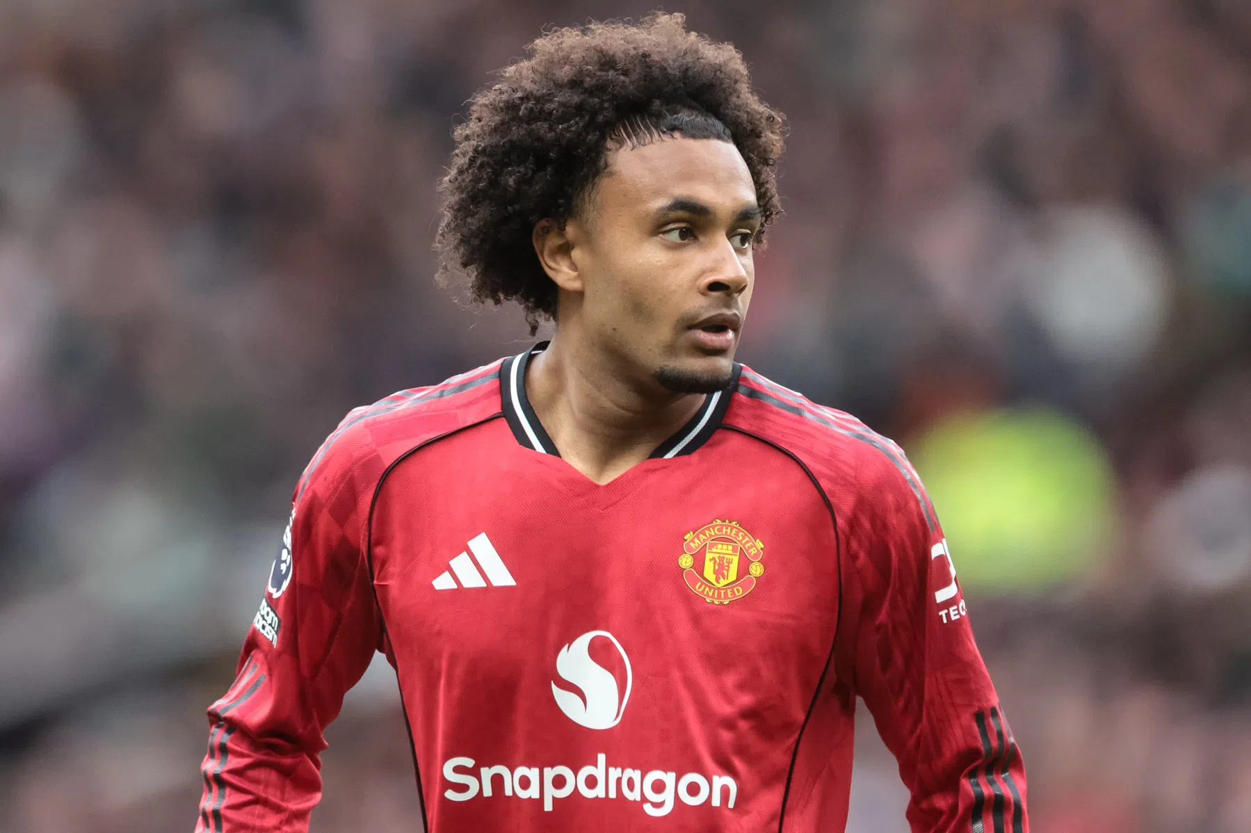 Zirkzee doet met 'moment van magie' denken aan Berbatov