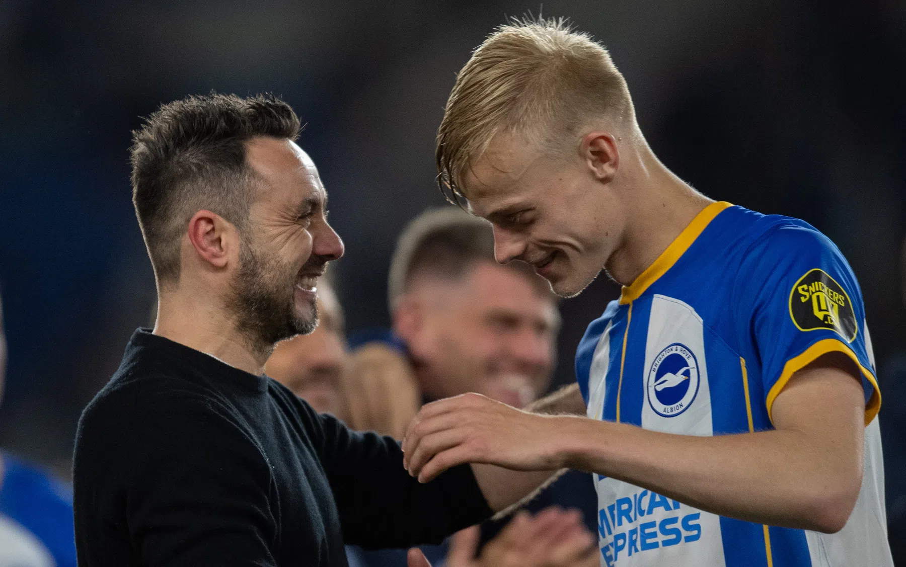 Berichtje van De Zerbi aan Van Hecke: 'Jij wilde Tottenham laten degraderen!'