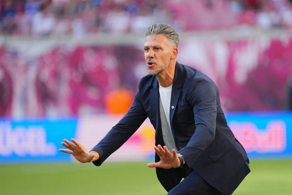 viBundesliga